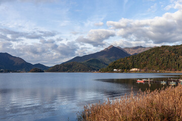 Golden reeds sway gently along the shore of Lake Kawaguchi on an autumn morning, as still waters reflect the sky, and forested mountains rise in the background
