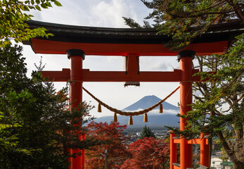 Large vermilion torii gate frames Mount Fuji with autumn foliage and greenery surrounding Shiogama Shrine in Arakura Fujiyoshida creating a stunning sacred view in Japan