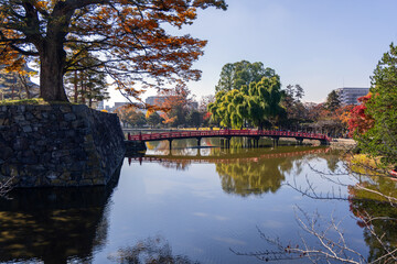 Obraz premium Red bridge over the moat of Matsumoto Castle surrounded by autumn foliage, with calm water reflecting trees and traditional architecture in Nagano, Japan