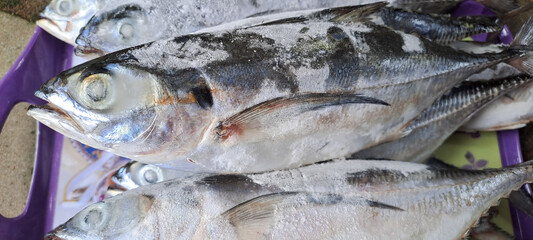 Fresh seafood in box with ice at the market	
