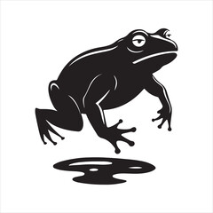 American bullfrog  silhouette vector