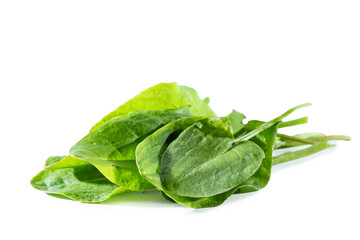 Fresh sorrel leaves isolated on white background.