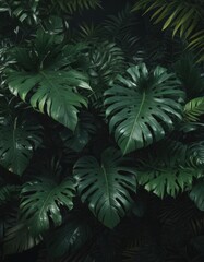 Fototapeta premium Luxurious dark green tropical leaves, rich texture, glowing highlights , tropical leaf, design, pattern