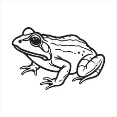 American bullfrog  silhouette vector