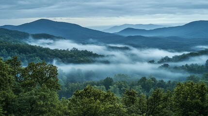 Misty mountains and lush forests stretch into the distance under a cloudy sky, creating a tranquil and scenic landscape.