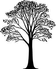 Fototapeta premium tree silhouette vector