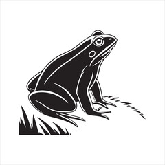American bullfrog  silhouette vector