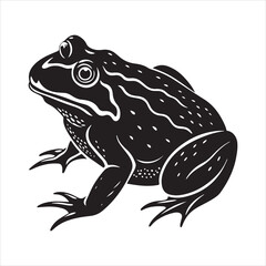 American bullfrog  silhouette vector