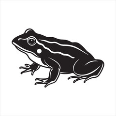 American bullfrog  silhouette vector