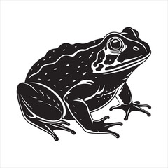 American bullfrog  silhouette vector