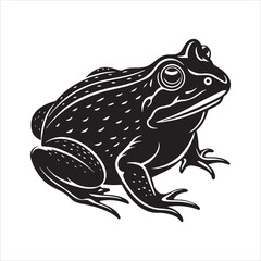American bullfrog  silhouette vector