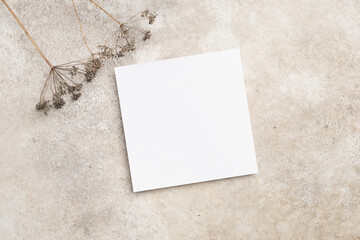 Square blank invitation, greeting or flyer card mockup with copy space for card design, botanical...