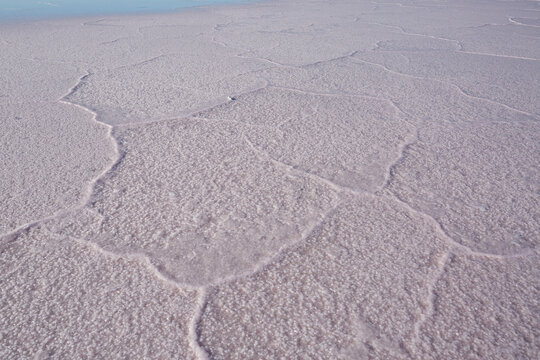 Polygonal pattern in salt crust on a salt lake