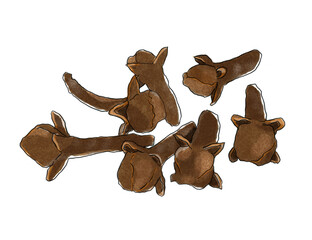 クローブ　丁子　花蕾　アロマ　スパイス　香り　チョウジ