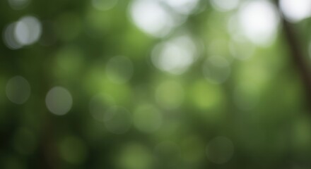 Obraz premium An ethereal dance of light weaving through blurred leaves in a verdant embrace