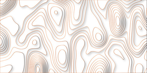 paper cut 3d render topography abstract, beautiful white Background. geometric map relief texture with curved layers and shadow. Realistic papercut decoration textured with wavy vector design.