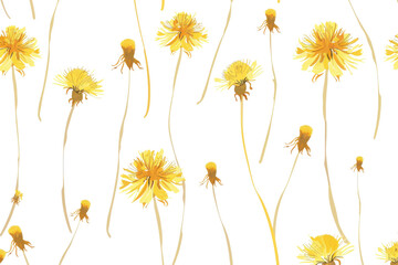 Floral Dandelion Blossom Repeating Layout