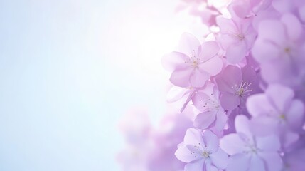 Fototapeta premium Soft purple pastel clouds, dreamy abstract background, serene atmosphere, ideal for calming visuals and creative design projects.