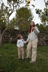 Fototapeta premium Mother and son picking lemons in orchard by stone wall