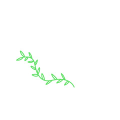 Illustration Of Green Vine Plants