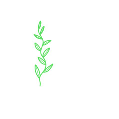 Illustration Of Green Vine Plants