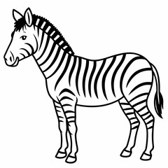 Obraz premium Black and White Zebra Illustration . Line Art Drawing