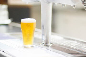 Foamy golden beer in glass with copy space