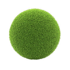 A vibrant green sphere resembling a perfectly manicured moss ball, isolated on a white background, ideal for nature and eco-themed designs.