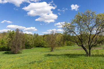 Bright spring landscape on a sunny day