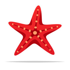 Red starfish vector isolated illustration