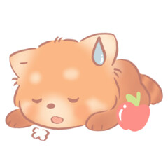Tired Red Panda with Apple