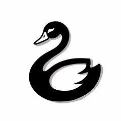 black swan vector