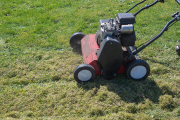 Obraz premium After frosts, the Gardener regularly Scarify the lawn from moss and tall grass, and combs it to saturate it with air for further growth,