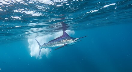 Fototapeta premium AI image. A majestic blue marlin swims gracefully underwater, with sunlight filtering through the clear blue ocean surface, creating ripples.