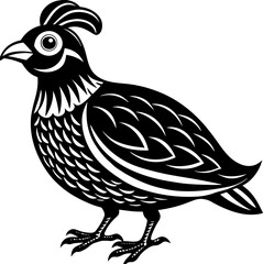 vector illustration of chicken, Quail Bird vector