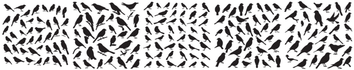 set of silhouette bird icons