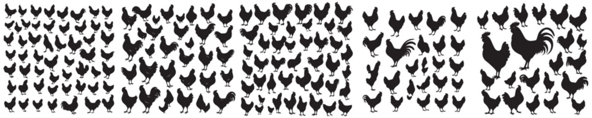 Fototapeta premium set of chicken silhouette icons