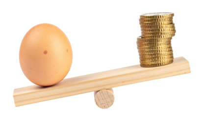 An egg and stacks of coins are balanced on a wooden seesaw.