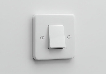 White Light Switch: Simple, Clean, Electrical Switch Plate