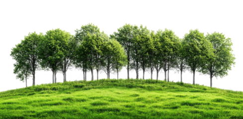forest trees with meadow isolated on transparent background