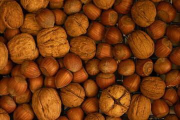 High-quality image of walnuts and hazelnuts. Perfect for food blogs, packaging, or any project needing a natural, autumnal feel.