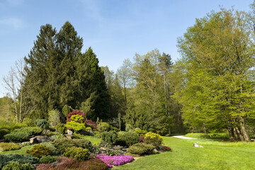 vibrant spring garden with vivid flowers, bushes, and manicured landscape in bright sunlight....