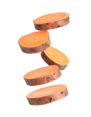 leather shoes isolated on white background top view