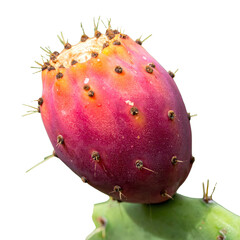 car keys with remote control on white background