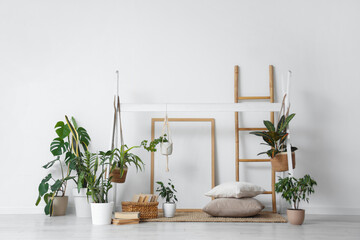 Interior of light room with green plants, books and ladder