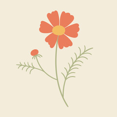 Cosmos flower in soft orange pastel tones. Delicate, romantic and nostalgic hand drawn floral vector elements, perfect for vintage prints, garden decor, and cottage core designs.