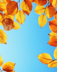 Obraz premium Golden Autumn Leaves Frame Against a Clear Blue Sky Low Angle View Capturing Seasonal Beauty and Tranquility in Nature's Transition