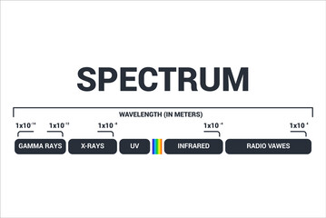 Visible light diagram. Color electromagnetic spectrum, light wave frequency. Educational school physics background. Illustration of spectrum diagram rainbow, infrared and electromagnetic