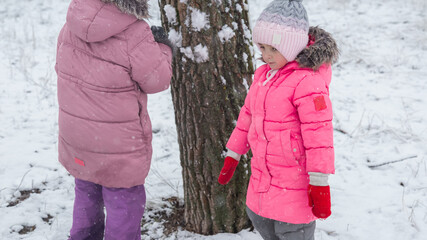 Active recreation with children in winter on cold days. Happy siblings having fun with snow