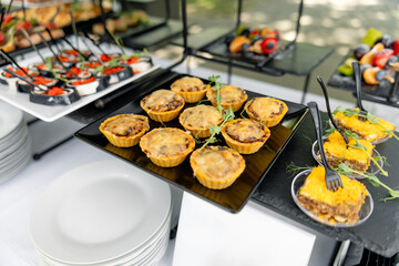 Catering plate. Assortment of snacks on the buffet table 